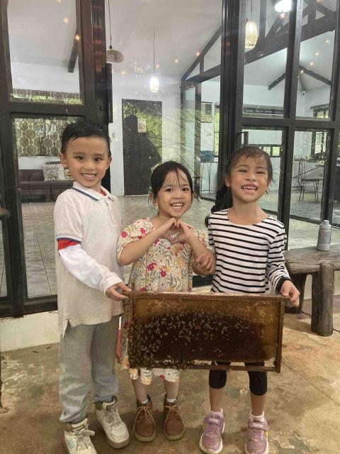 Bee Farm