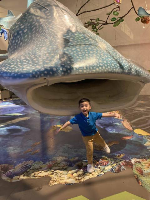 Cody mind museum